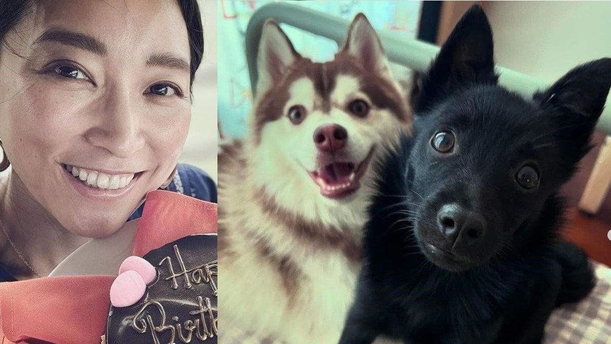 杏の愛犬の名前や犬種は？パリ移住の検疫秘話と現在の暮らしに迫る