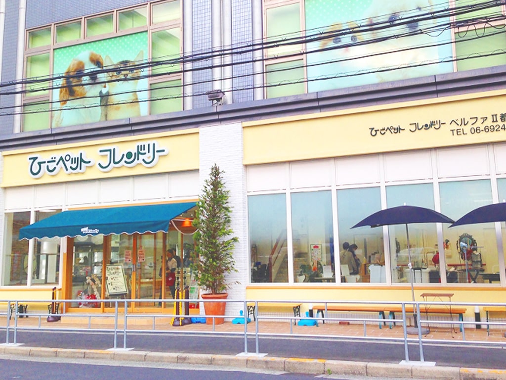 ひごペット都島店の口コミ評判と実態！料金や生体の真相を徹底調査