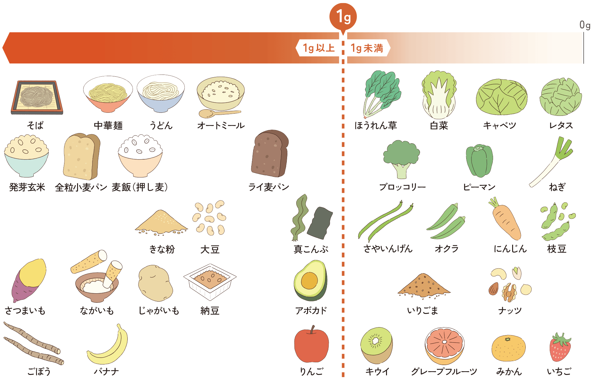 食物繊維の多い食べ物ランキング！便秘悪化の盲点と2026最新腸活術