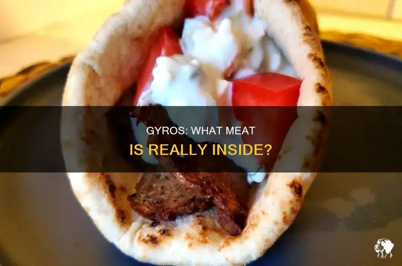 What Animal Is Gyro Meat