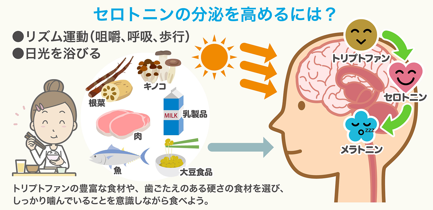 やる気激減の正体は？セロトニン分泌を促す朝習慣と食事の新常識【2026】