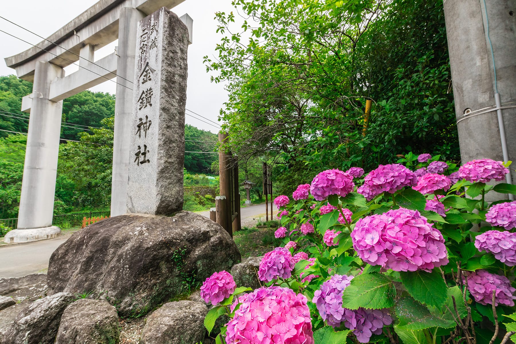 「かなじょ埼玉」の真相とは？ネットの噂と出会いのリアルを徹底検証
