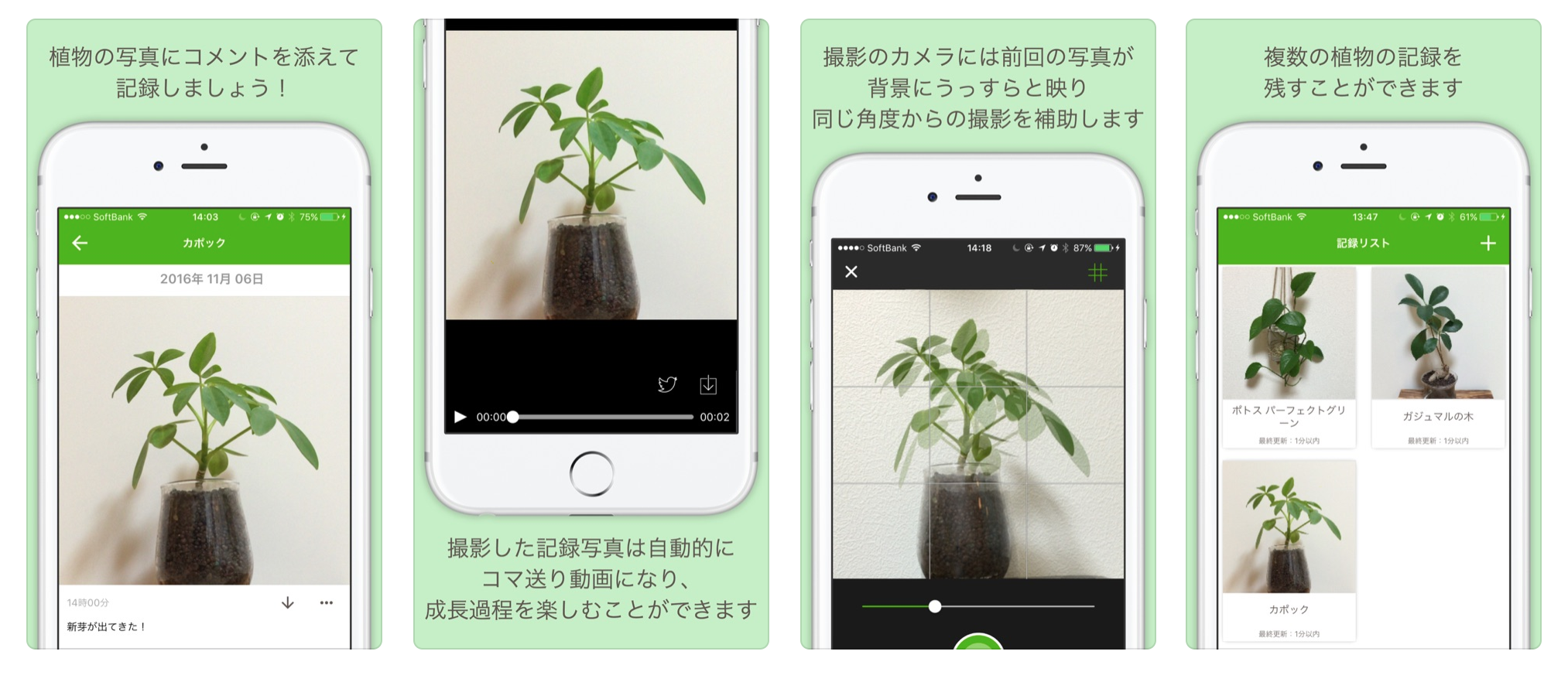 植物育成アプリで本当に枯れない？2026年最新おすすめ比較と神機能