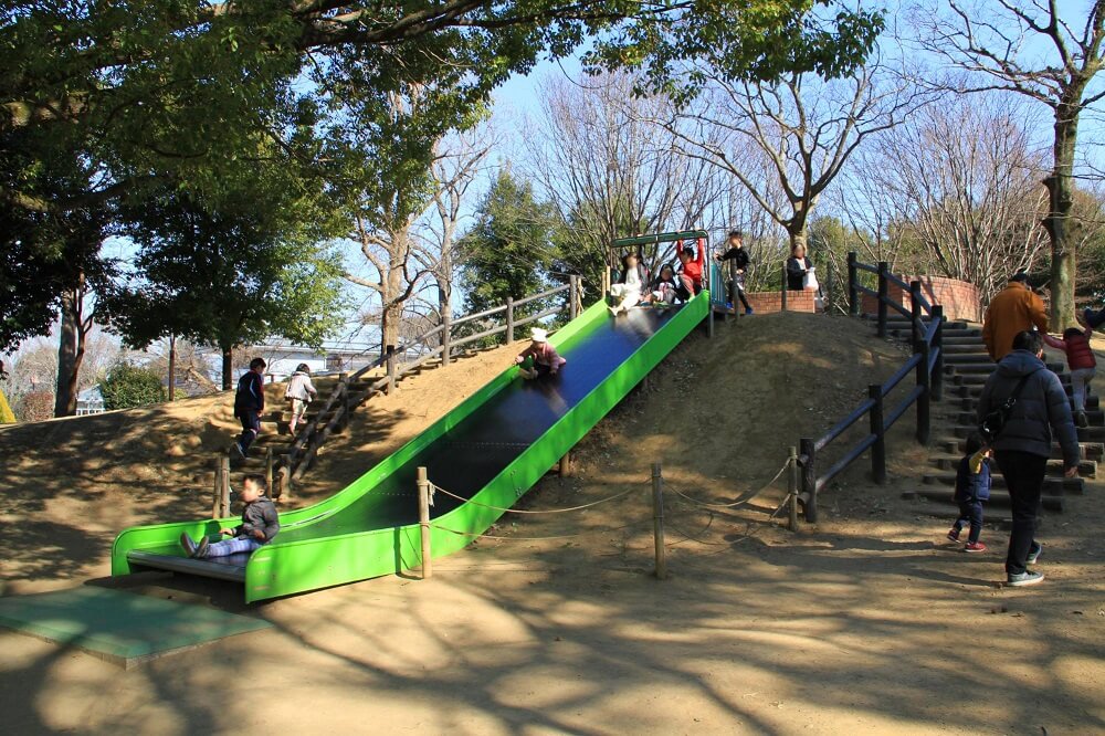 柏の葉公園の混雑回避ワザとBbq攻略！穴場から巡る完璧ルート