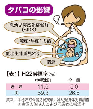 「一口なら大丈夫」の嘘。2026年最新医学が警告する胎児への影響と、孤立する妊婦たちのリアル
