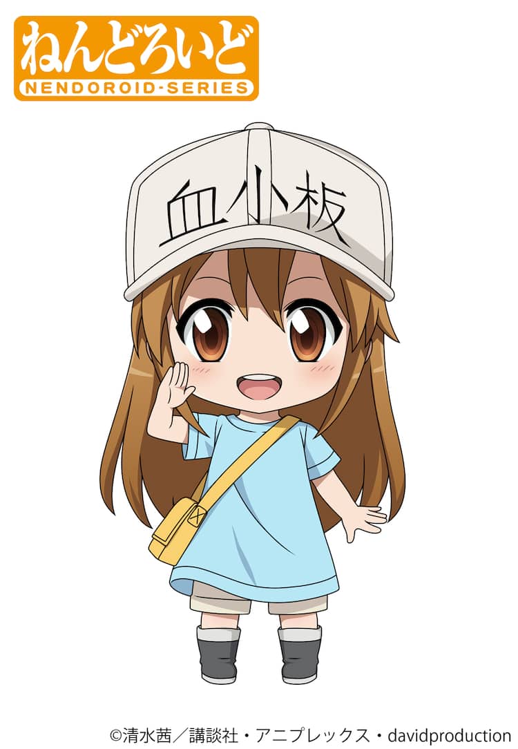 はたらく細胞の血小板が子供な理由とは？声優・実写キャストや役割の真相