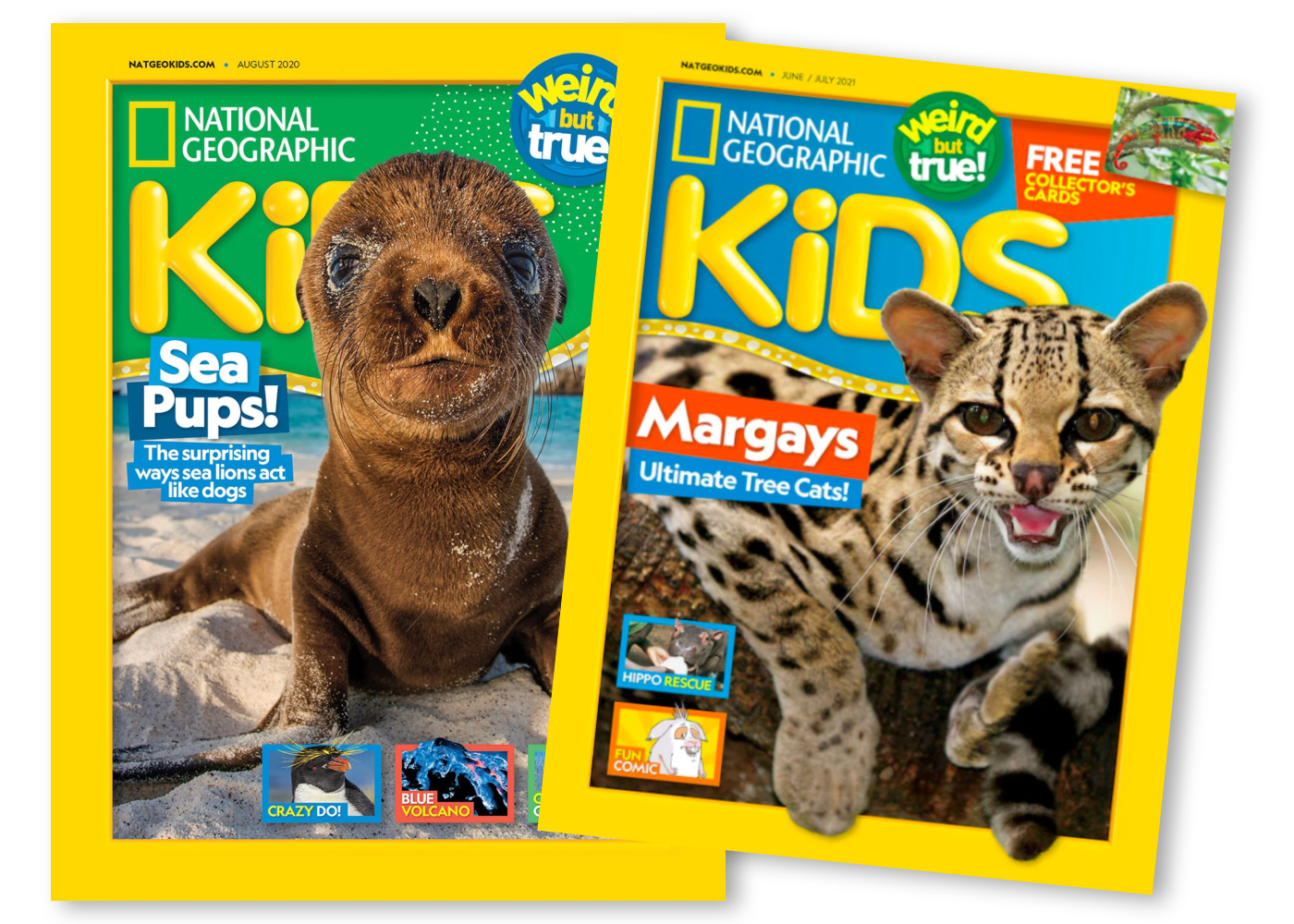 Best Magazines for 4 Year Olds