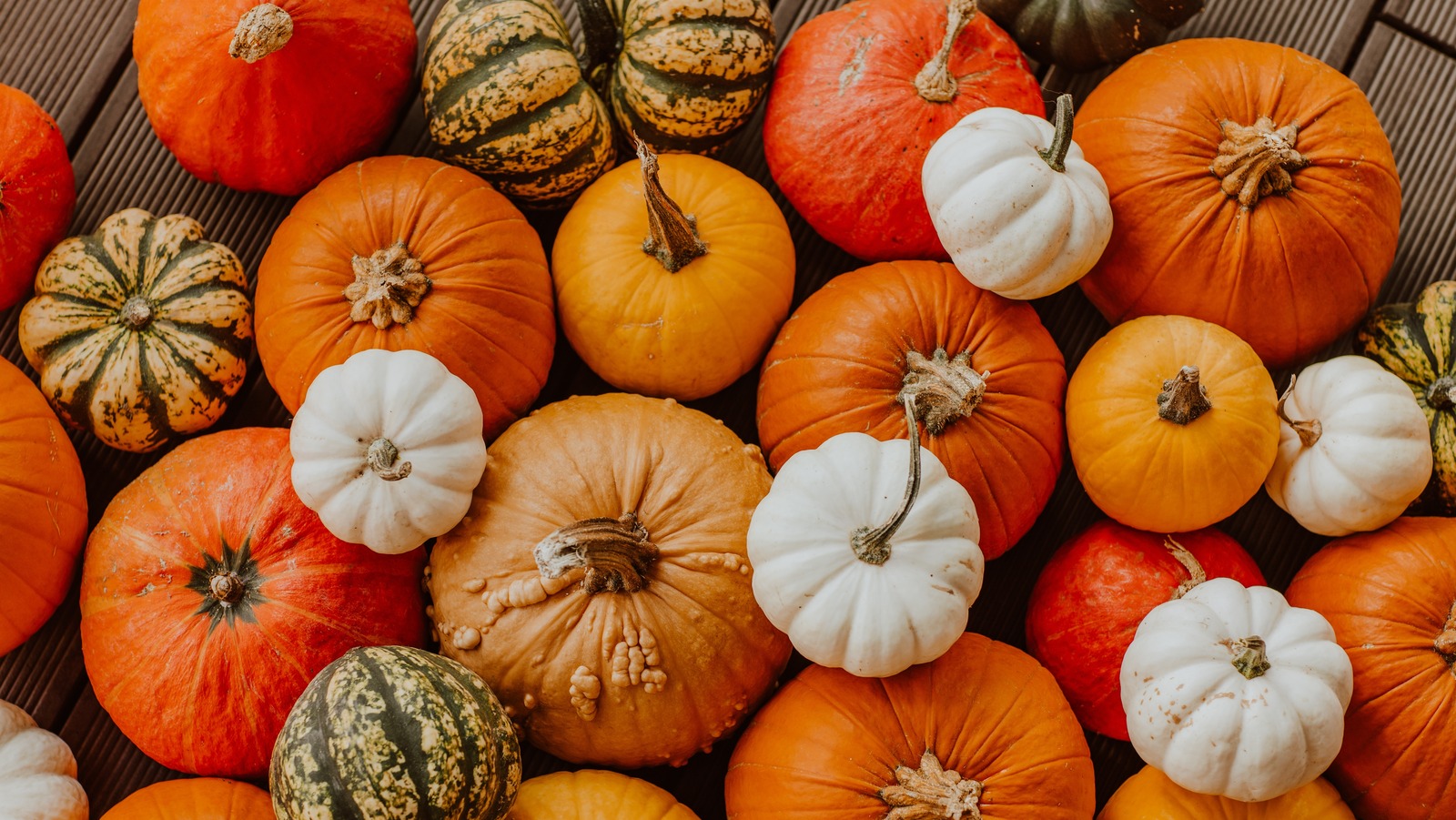 Can You Eat Orange Pumpkins
