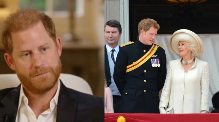 Queen Camilla and Prince Harry Highgrove Reunion: Olive Branch Gesture