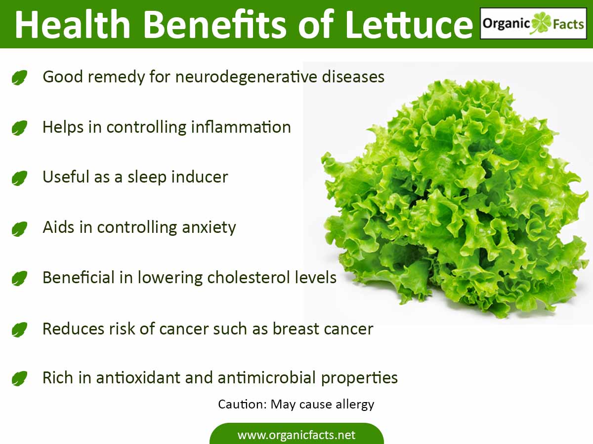 Is Lettuce Good for You