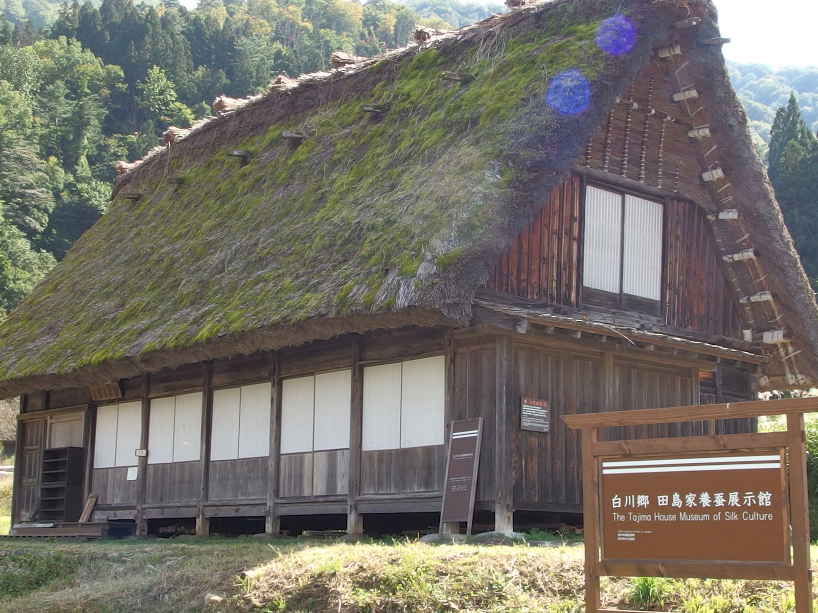 【2026年最新レポ】時を超えて息づく絹の記憶——「田島家養蚕展示館」が今、世界中のトラベラーを惹きつける理由
