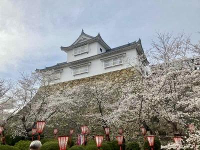 2026年、なぜ旅慣れた大人は岡山・津山を目指すのか？城下町の美学を宿すモダン湯治の現在地