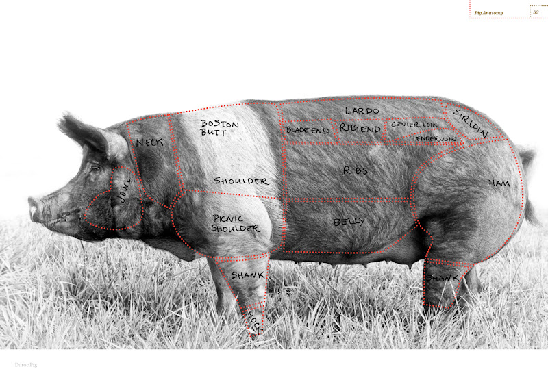 Salami Is from What Animal