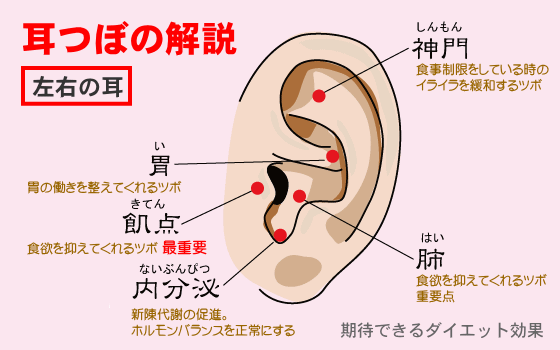 【2026年最新】「耳が詰まった…」その違和感、実は自律神経の悲鳴？話題のツボ押し法と耳鼻科医が鳴らす警告