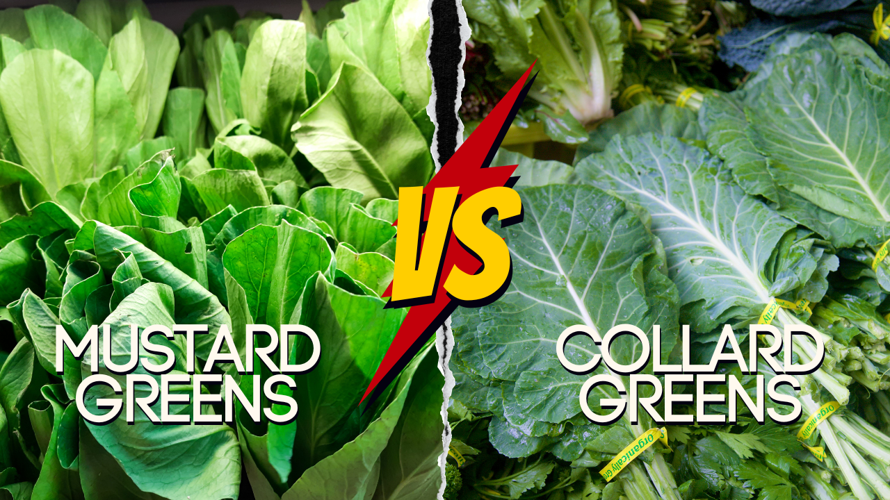 Collard vs Mustard Greens
