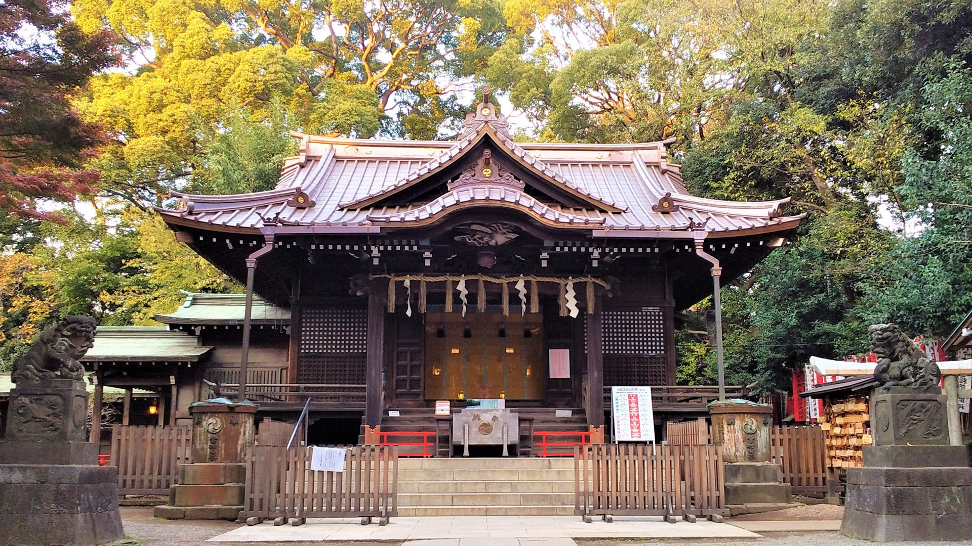 代々木八幡宮になぜ芸能人が集まるのか？出世稲荷の参拝順序とご利益の真相