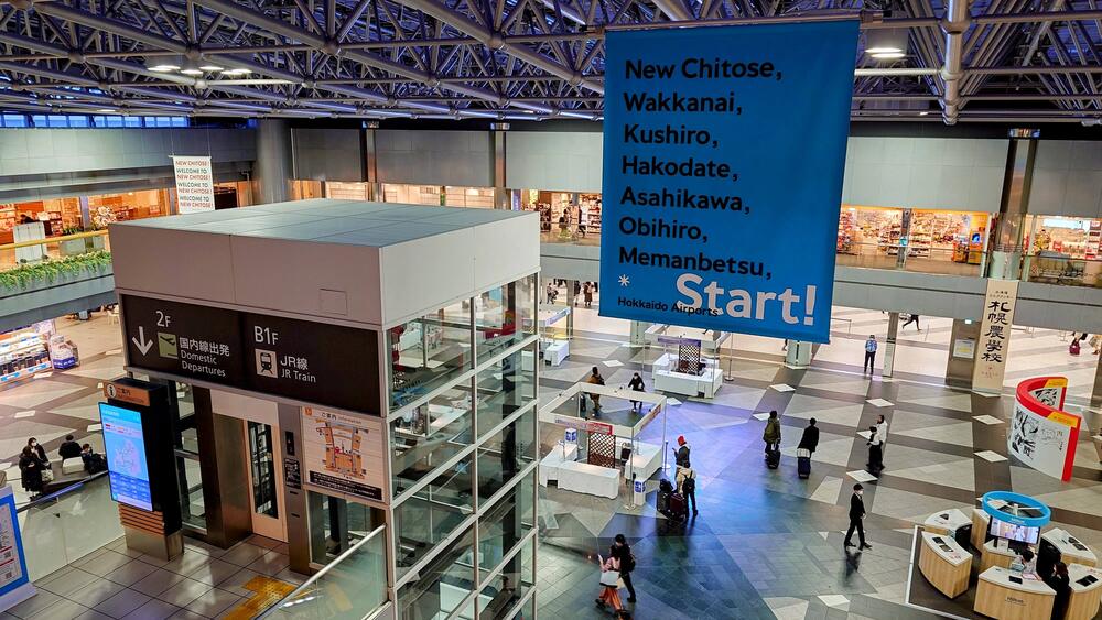 旅の最後を飾る至高の一杯！2026年最新・新千歳空港スープカレー実食ルポと混雑回避の現実解