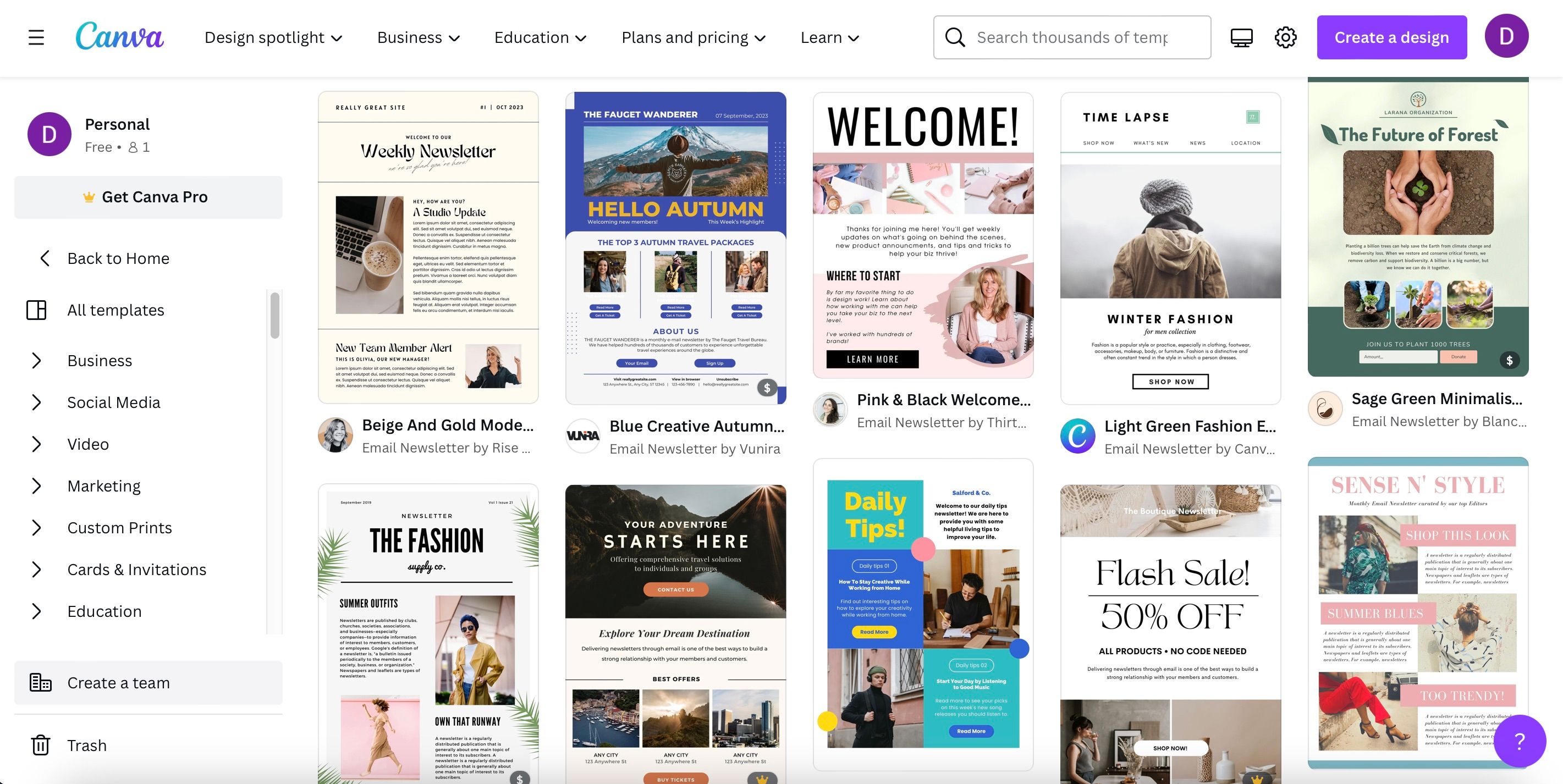 Newsletter in Canva