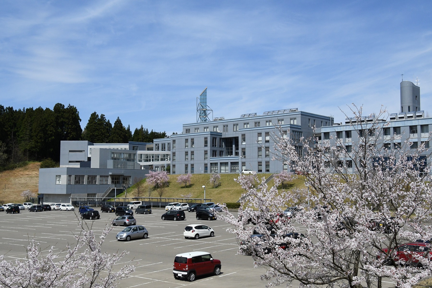 新潟工科大学はやばい？Ｆラン説の真相と驚きの就職実績を徹底追跡