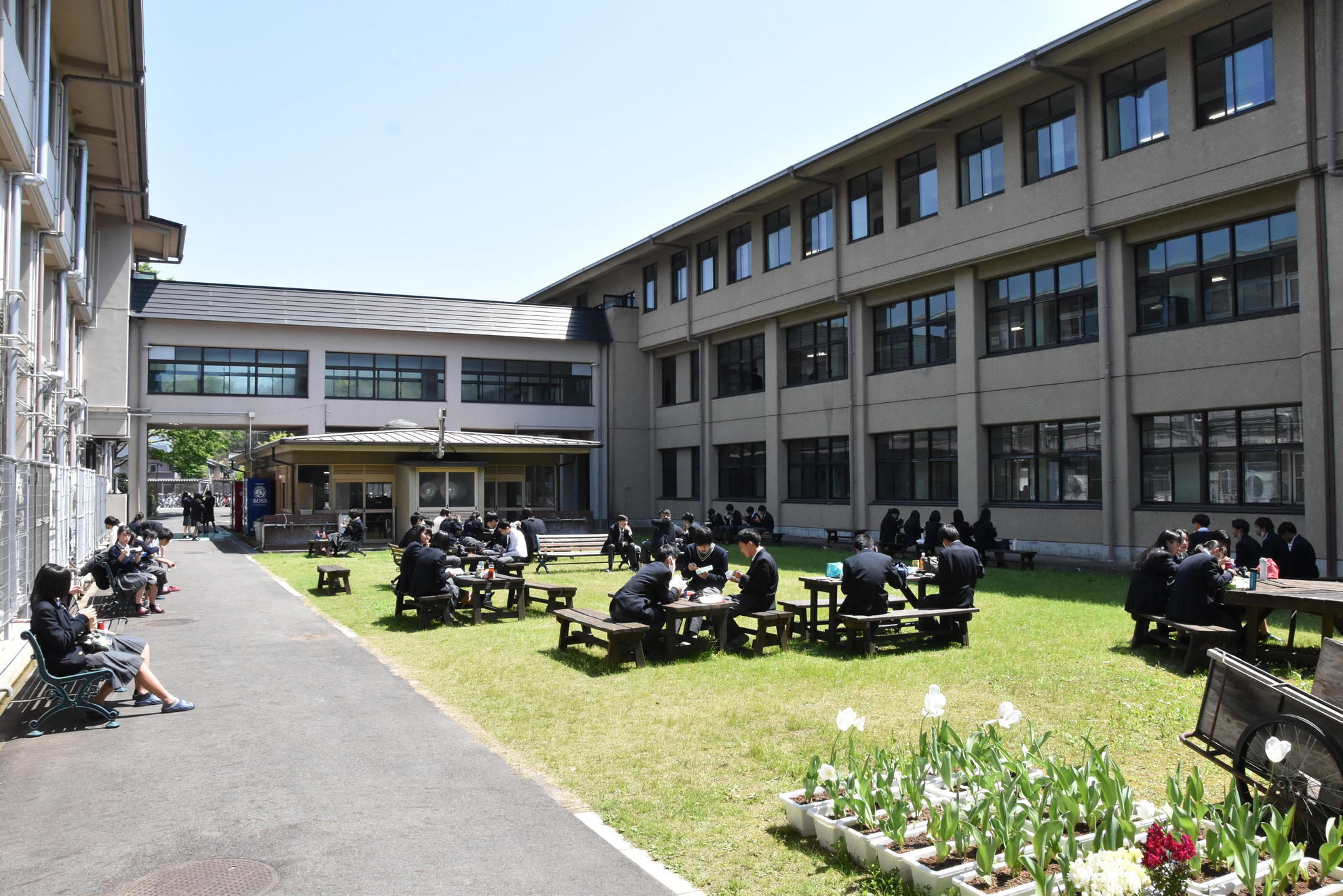 京都府立北稜高校の偏差値と進学実績！人気芸人を育む校風の真相