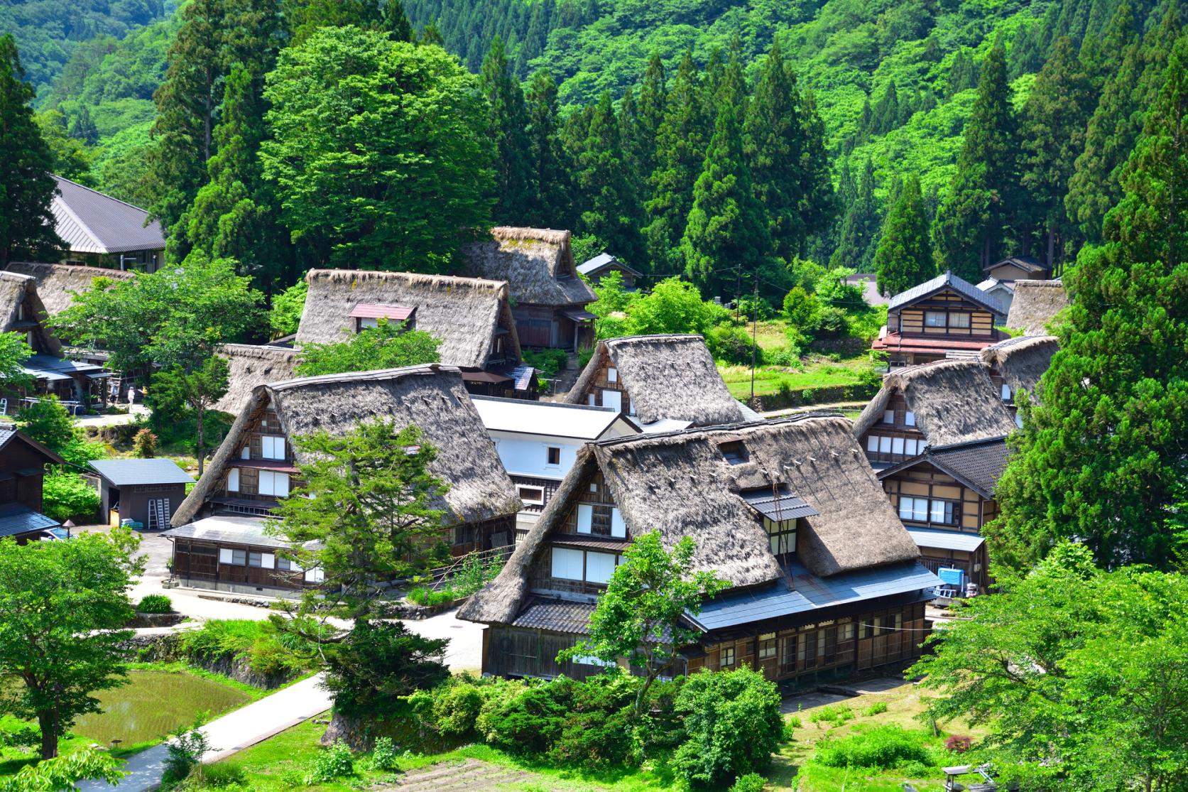 五箇山と白川郷の違いを徹底解剖！どっちに行くべきか【2026年最新】