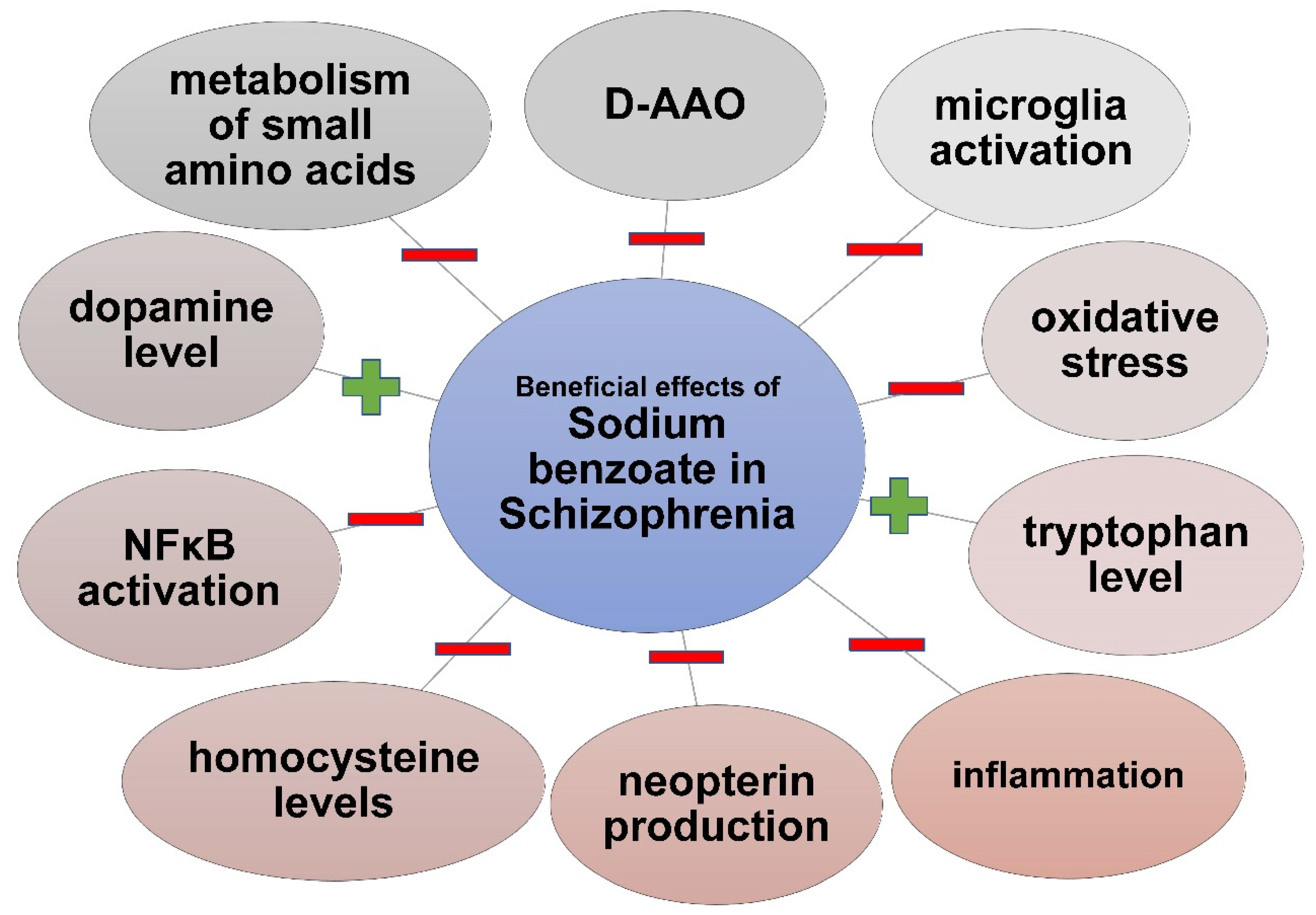What Does Sodium Benzoate Do to the Body