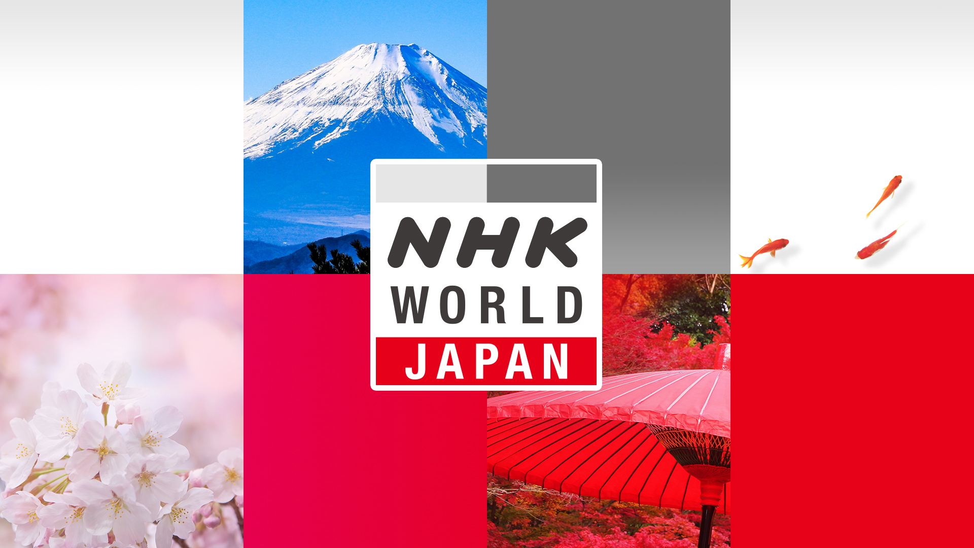 Nhk受信料を払いたくない人へ！解約条件と割増金リスクの全真相