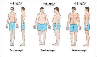 【衝撃】 筋肉 つき やすい 人 ファン必見の最新情報 #761