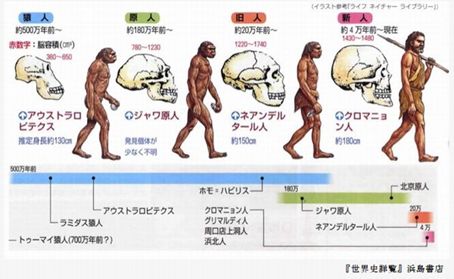 【話題】 人類 の 進化 図 2026年最新プロフィール #836