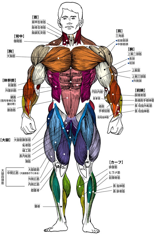 「筋肉は裏切らない」の真実！武田真治と最新科学が明かす筋トレ術