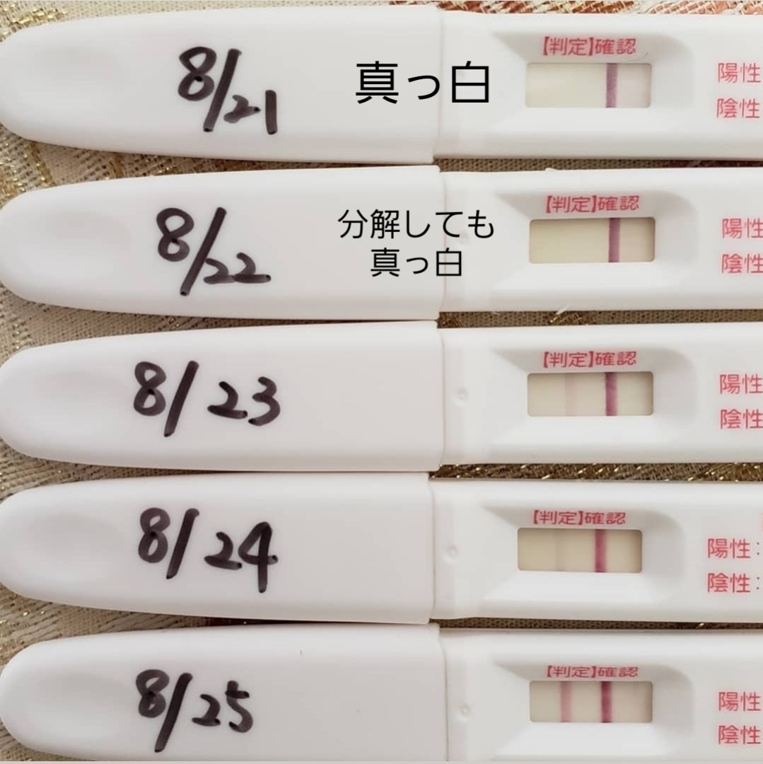妊娠検査薬フライングはいつから？高温期9日目の反応と後悔防ぐ全知識