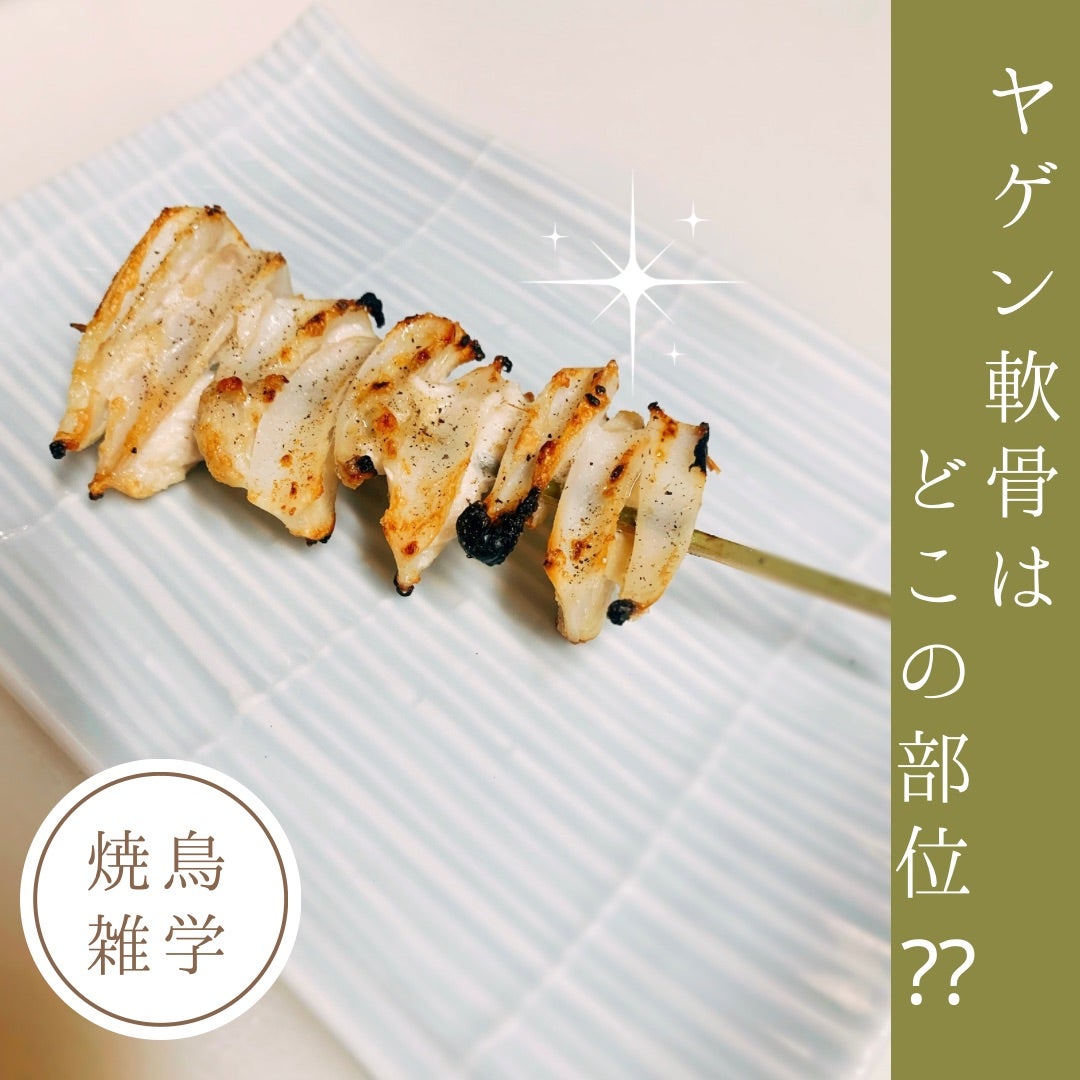 ヤゲン軟骨とは？部位の秘密や名前の由来と膝軟骨との違いを徹底解明