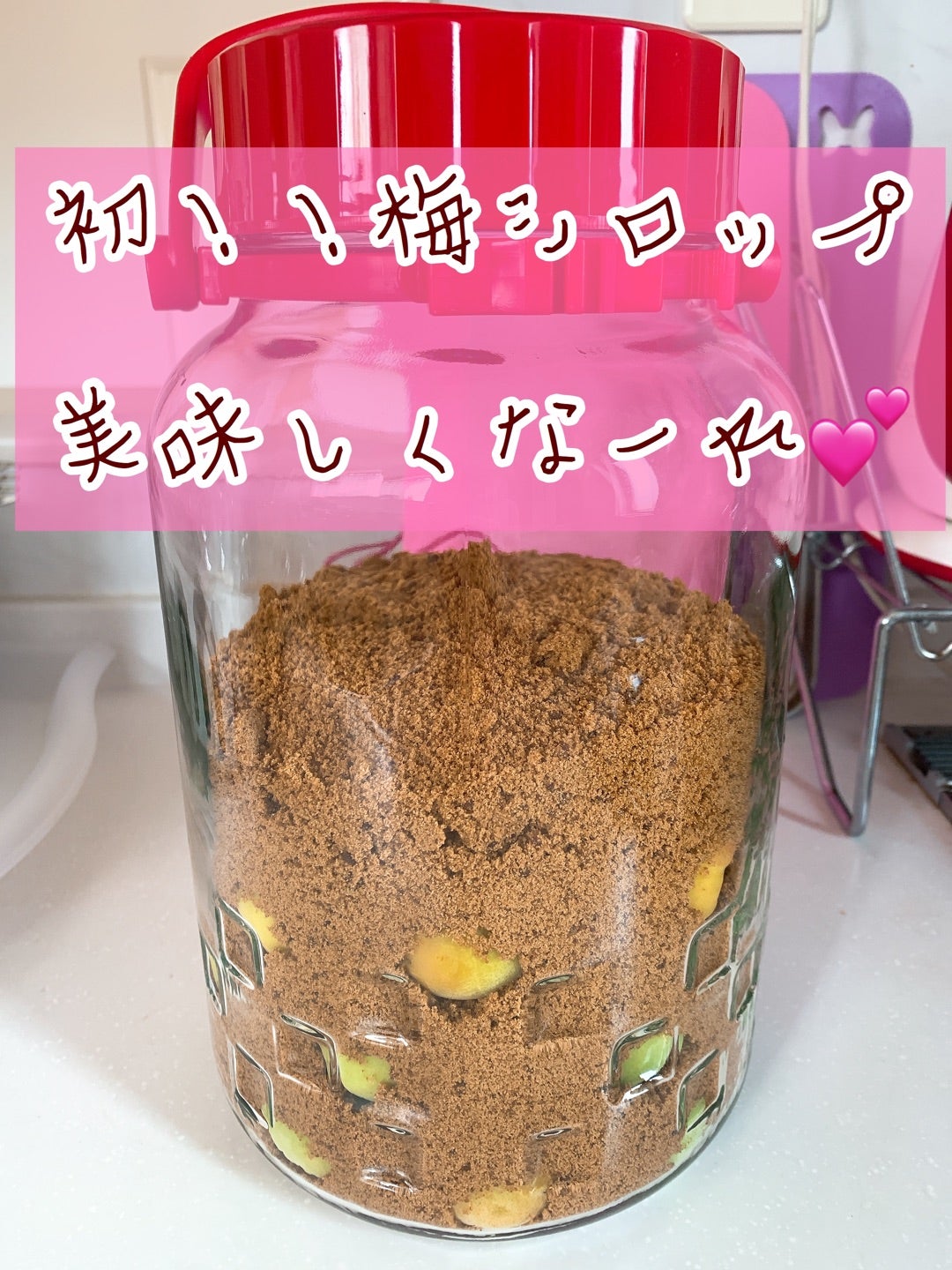 梅シロップの効能に隠された真相！疲労回復・美肌を最大化する飲むタイミングとは？