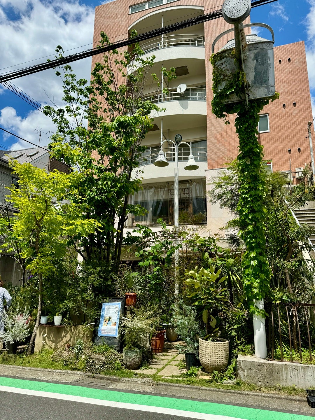 勝地涼の実家は自由が丘の超有名店！驚きのスカウト秘話と家族の素顔