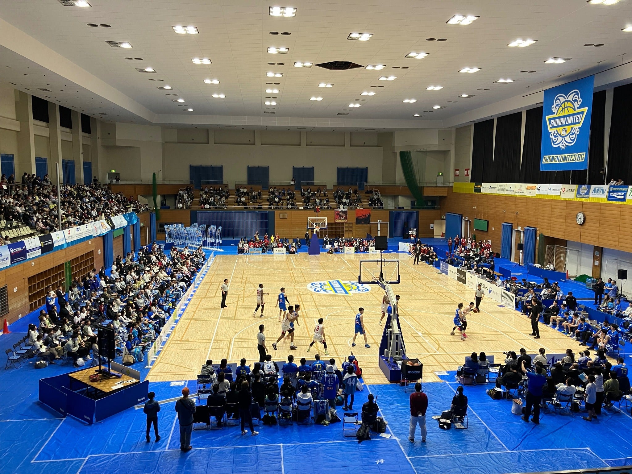 茅ヶ崎市総合体育館の利用攻略2026｜個人開放と混雑回避の全貌