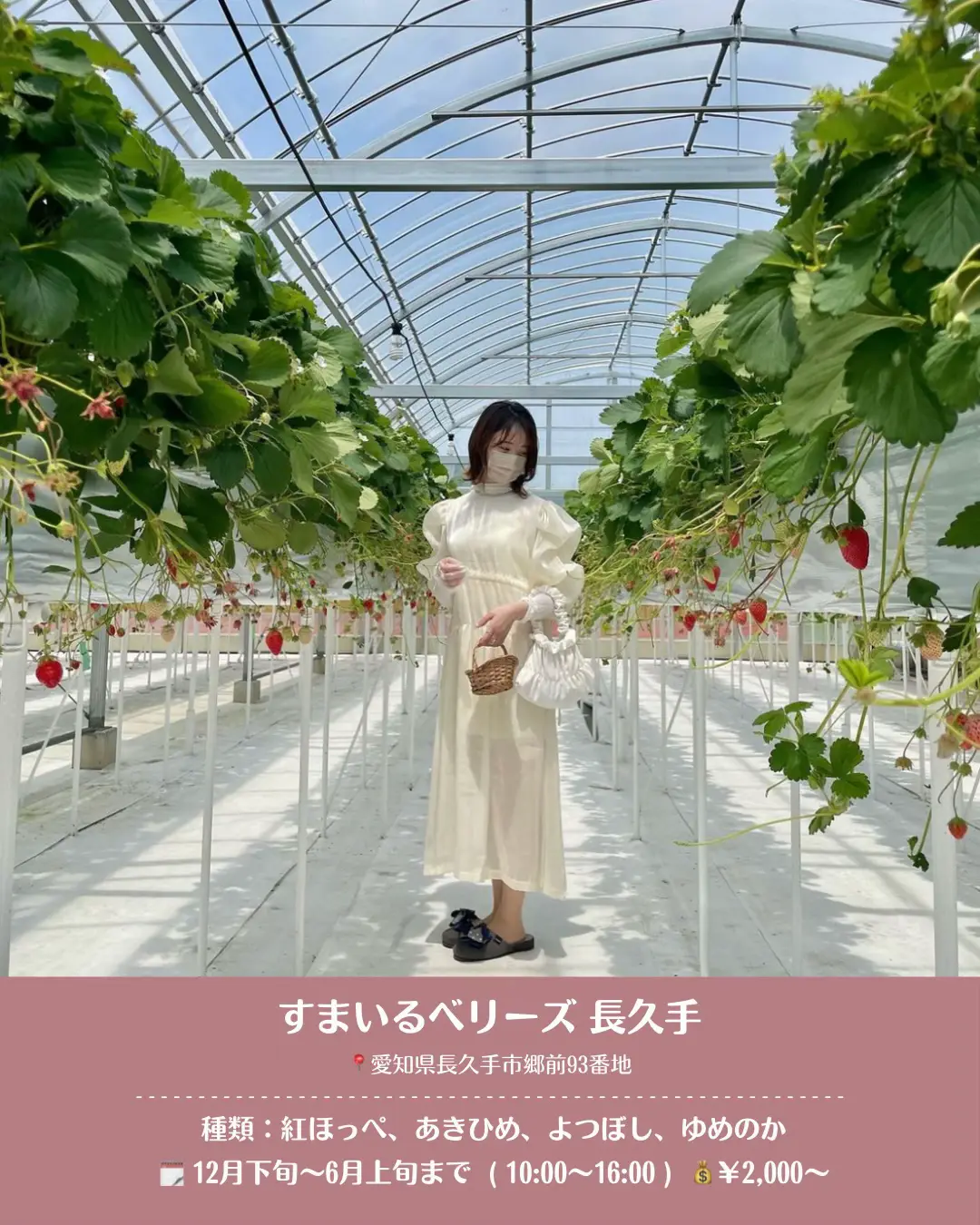 甘い果実に満たされる贅沢旅！いちごの里が創る感動の休日体験
