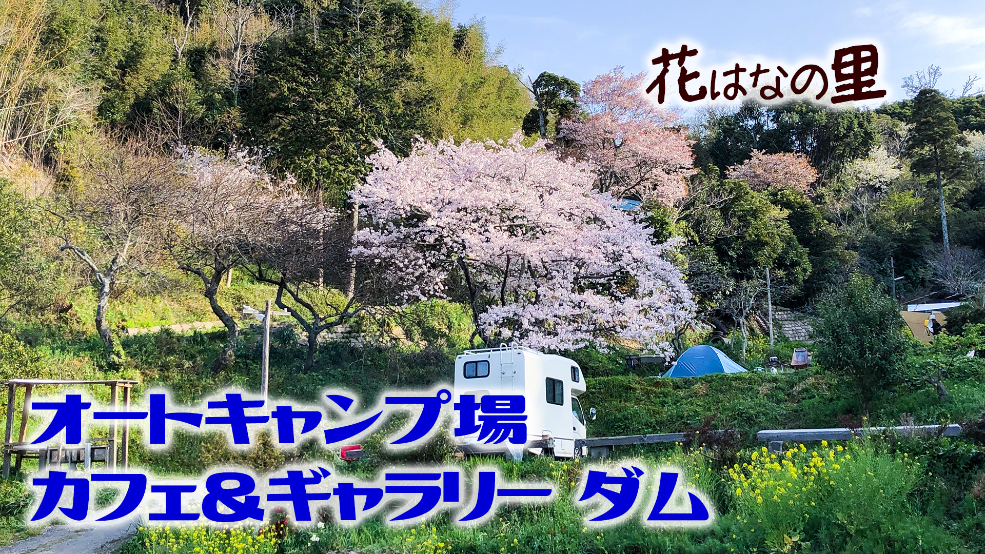 猫の聖地・花はなの里オートキャンプ場！予約の真相と棚田の評判検証