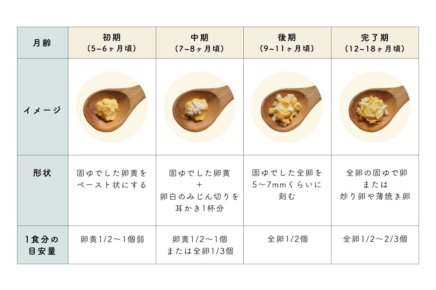 離乳食の卵黄進め方｜固ゆで20分の理由と安全スケジュール完全解説