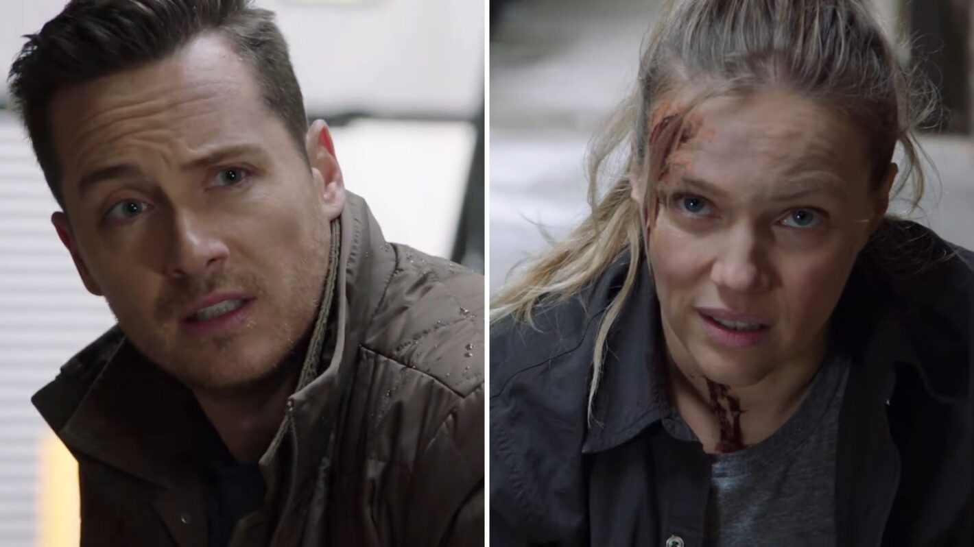 Jesse Lee Soffer Supports Tracy Spiridakos’ New Show Anna Pigeon