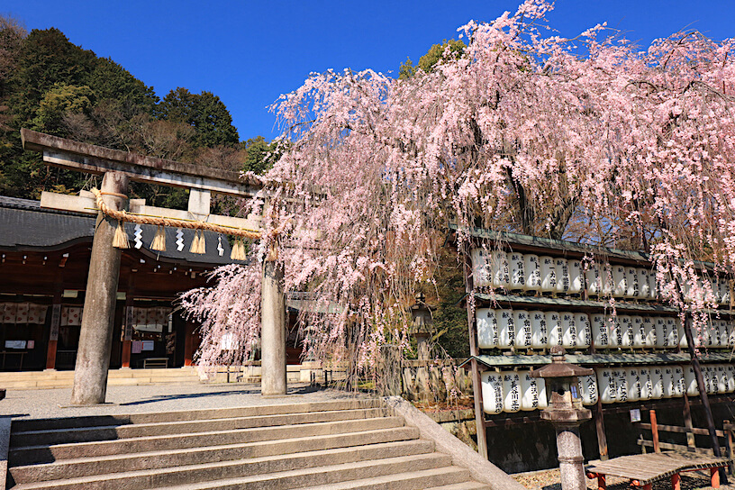 大石神社の真実！忠臣蔵の秘話と赤穂・山科を巡る特別参拝ルート
