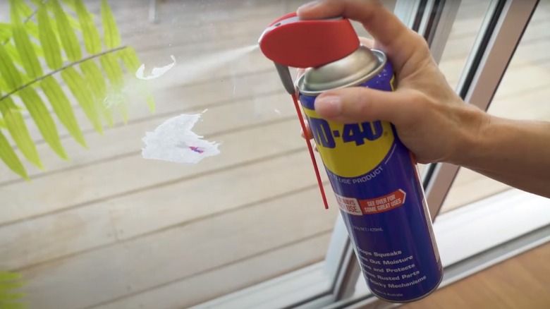 Will Wd 40 Remove Paint from Glass