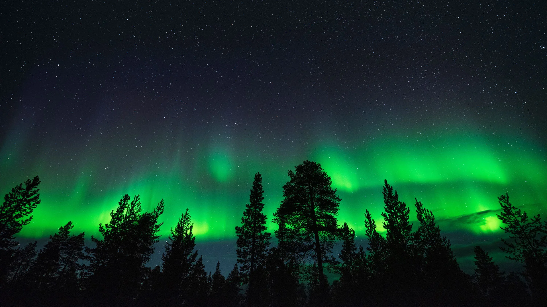 Will Aurora Borealis Be Visible Tonight