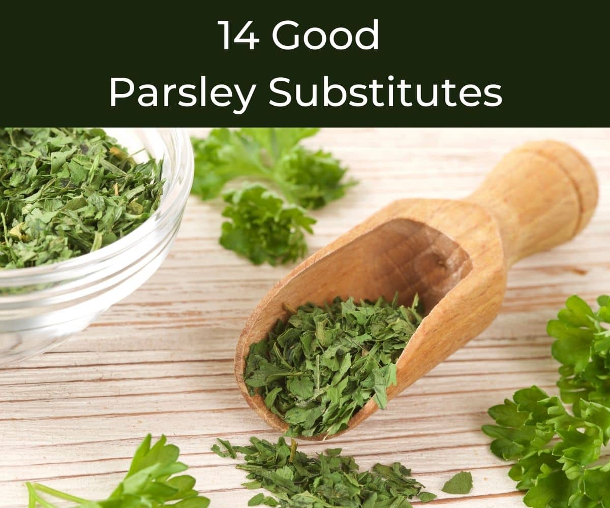 Substitute Dried Parsley for Fresh Parsley