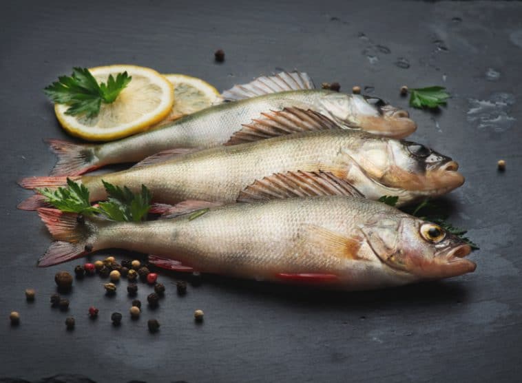 What Does Perch Taste Like