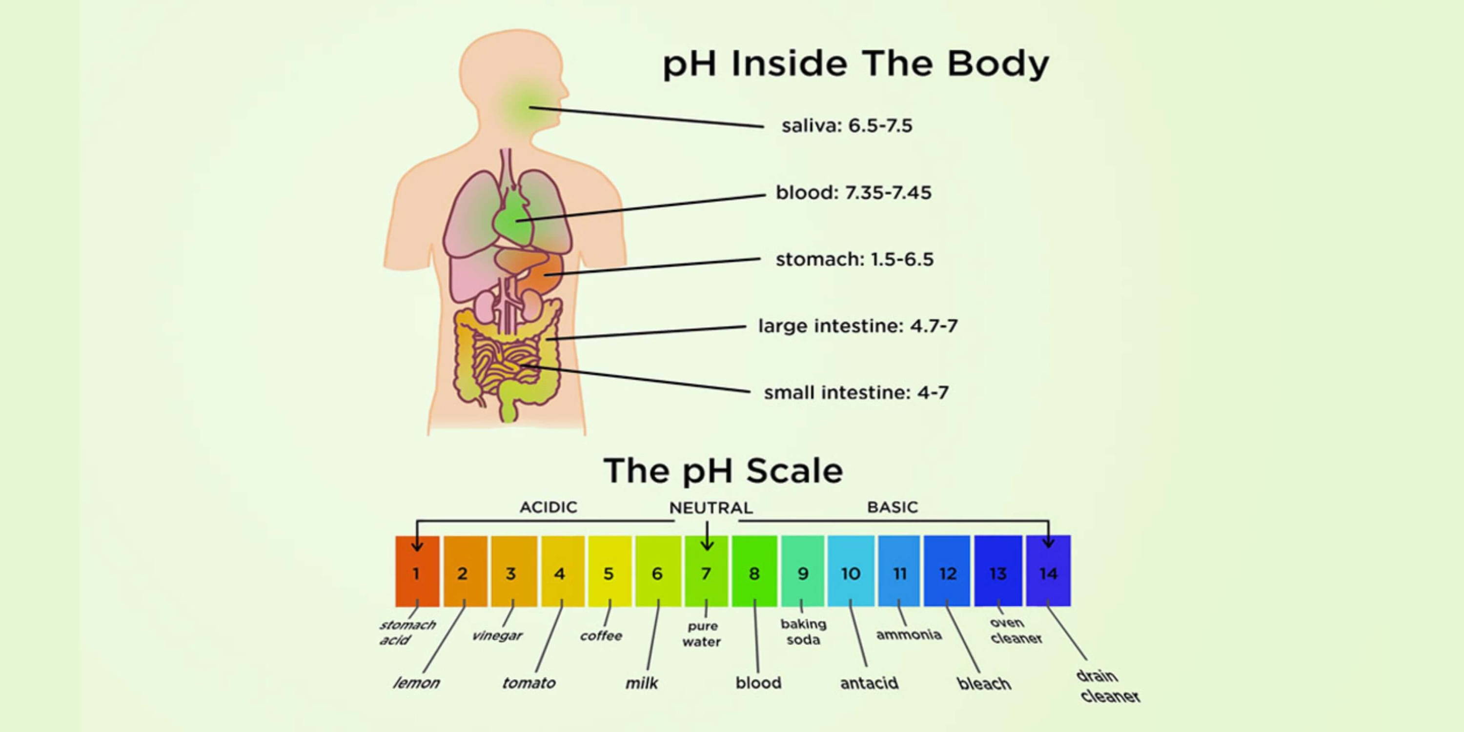 How to Check Ph Level of Body