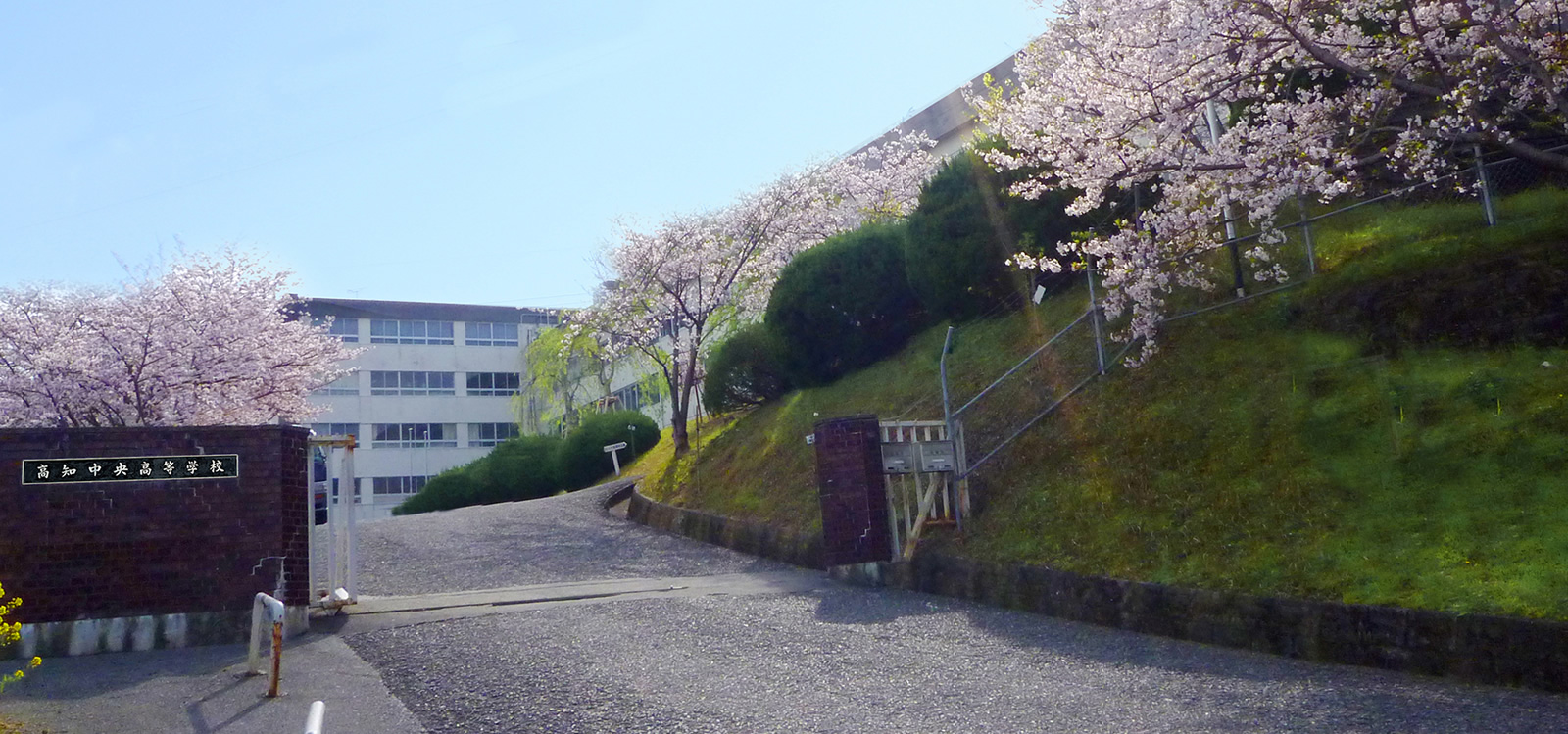 高知中央高校のリアルな評判と偏差値｜甲子園躍進と看護学科の実態