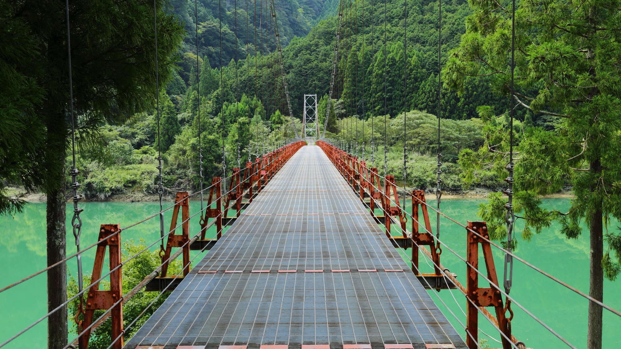 日本唯一の飛び地・和歌山県北山村の謎！じゃばらと筏下りの魅力解剖