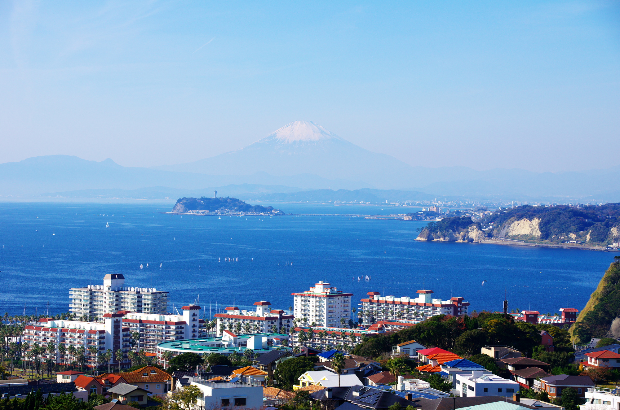 日本のビバリーヒルズ披露山庭園住宅の現在｜有名人と厳格な掟の真相
