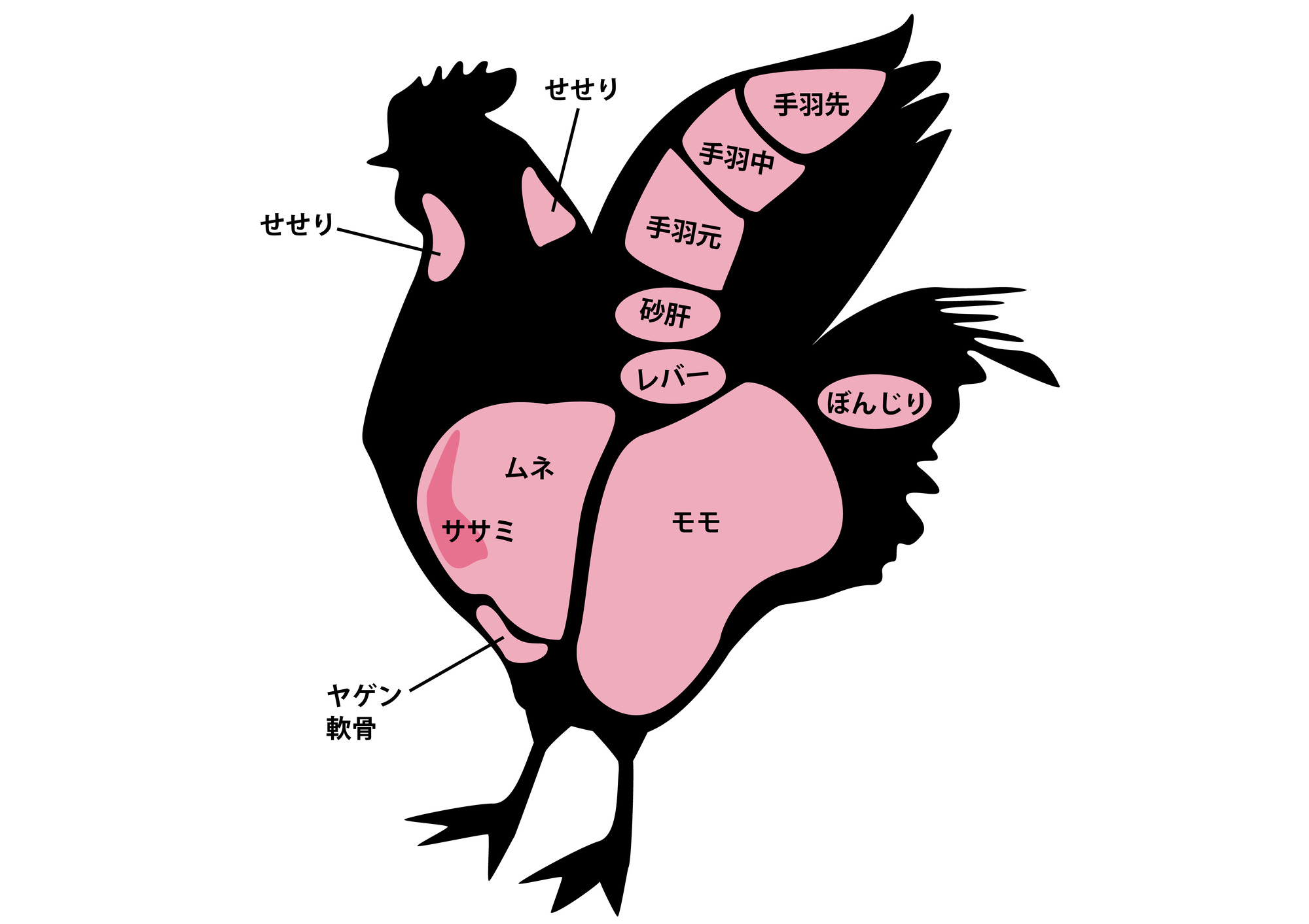 鶏肉の部位徹底比較！味・カロリーと選び方＆プロ直伝レシピ【2026年最新】