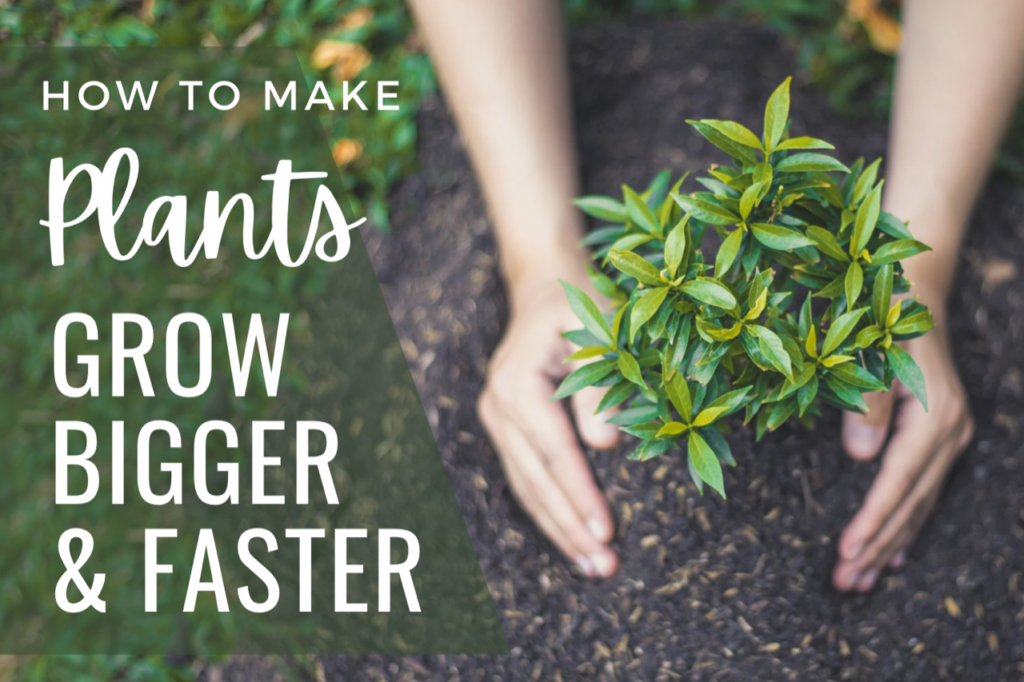 How to Get Better at Grow a Garden